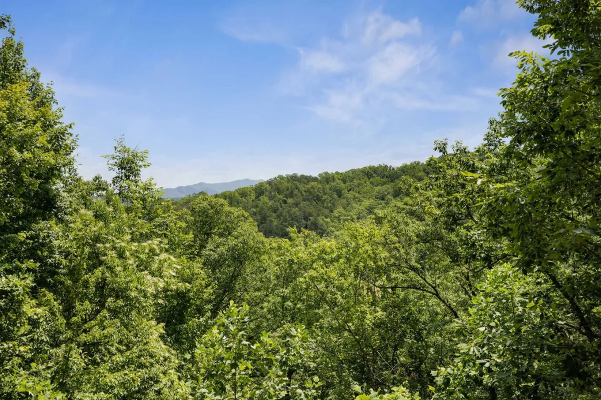 A panoramic view of lush green trees, distant blue mountains, and a clear sky. The scene evokes the beauty of the Great Smoky Mountains National Park, offering a sense of adventure and connection to nature.